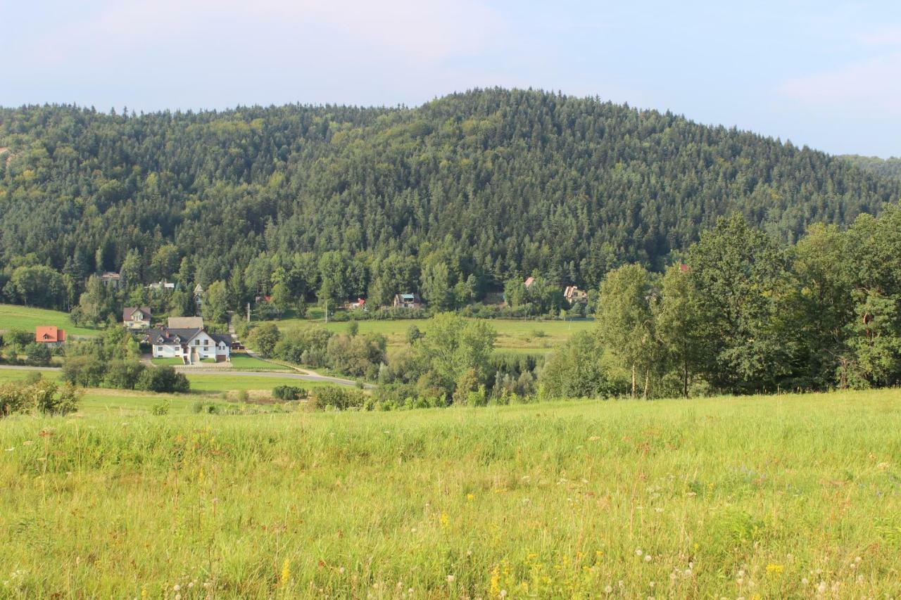 Dwor Bysina Villa Myślenice Eksteriør billede